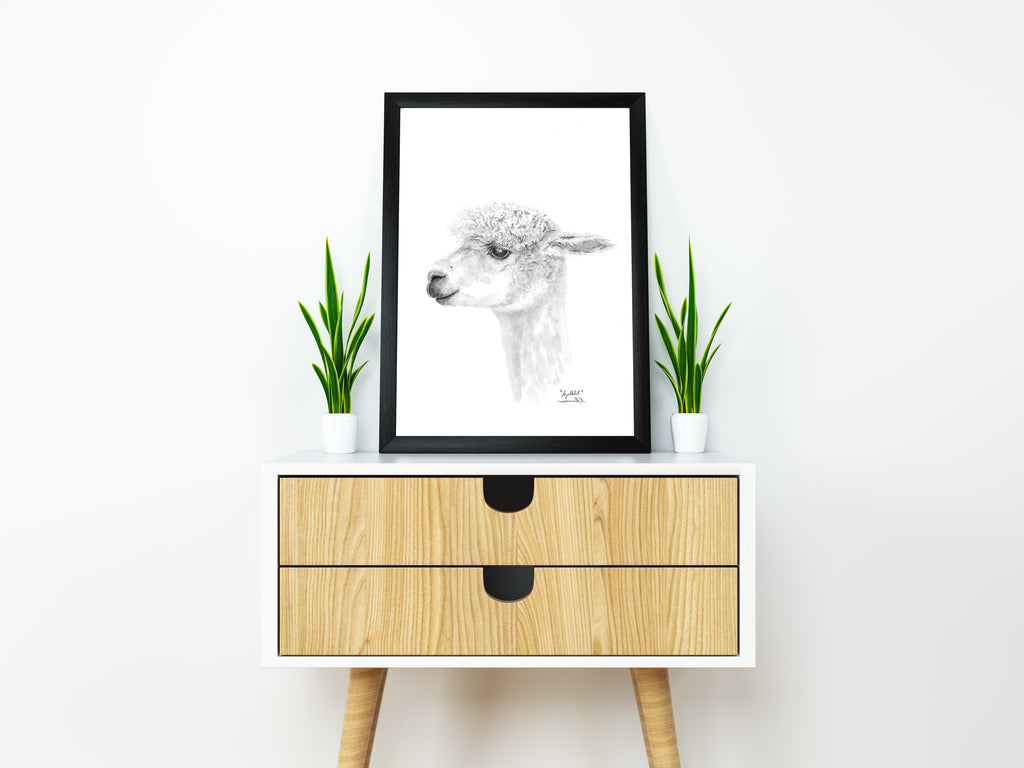AYALKBET Llama - Art Canvas