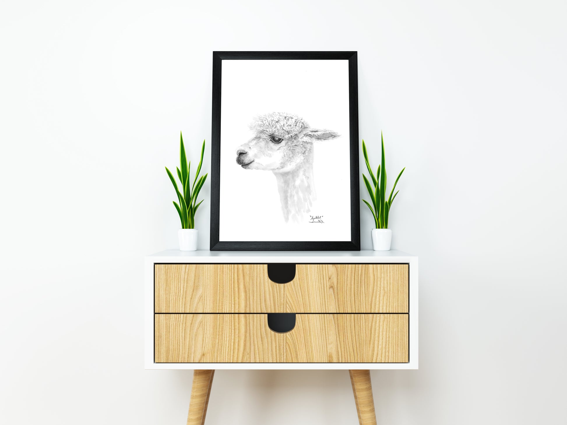 AYALKBET Llama - Art Canvas