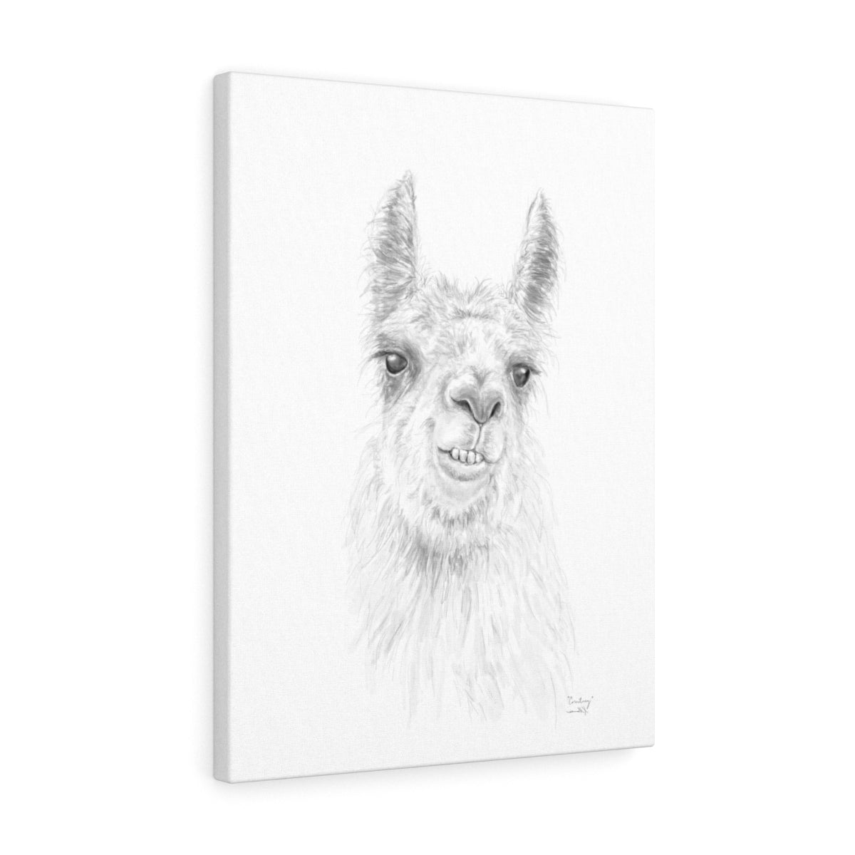 COURTNEY Llama - Art Canvas