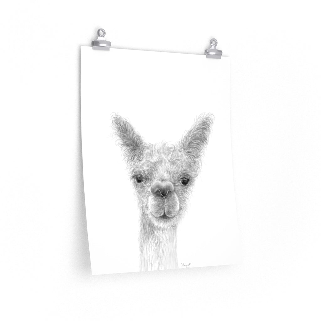 MARGARET Llama- Art Paper Print