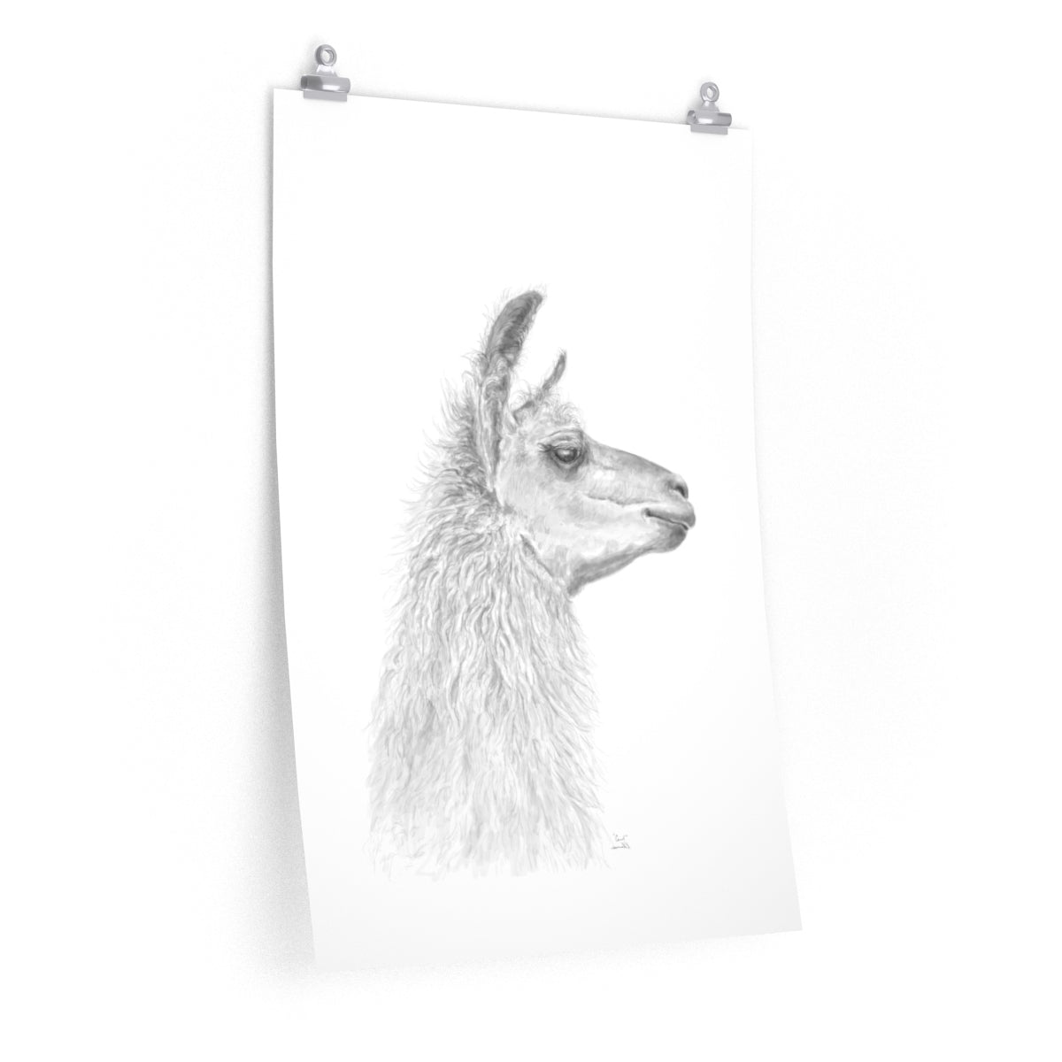 CAROL Llama- Art Paper Print