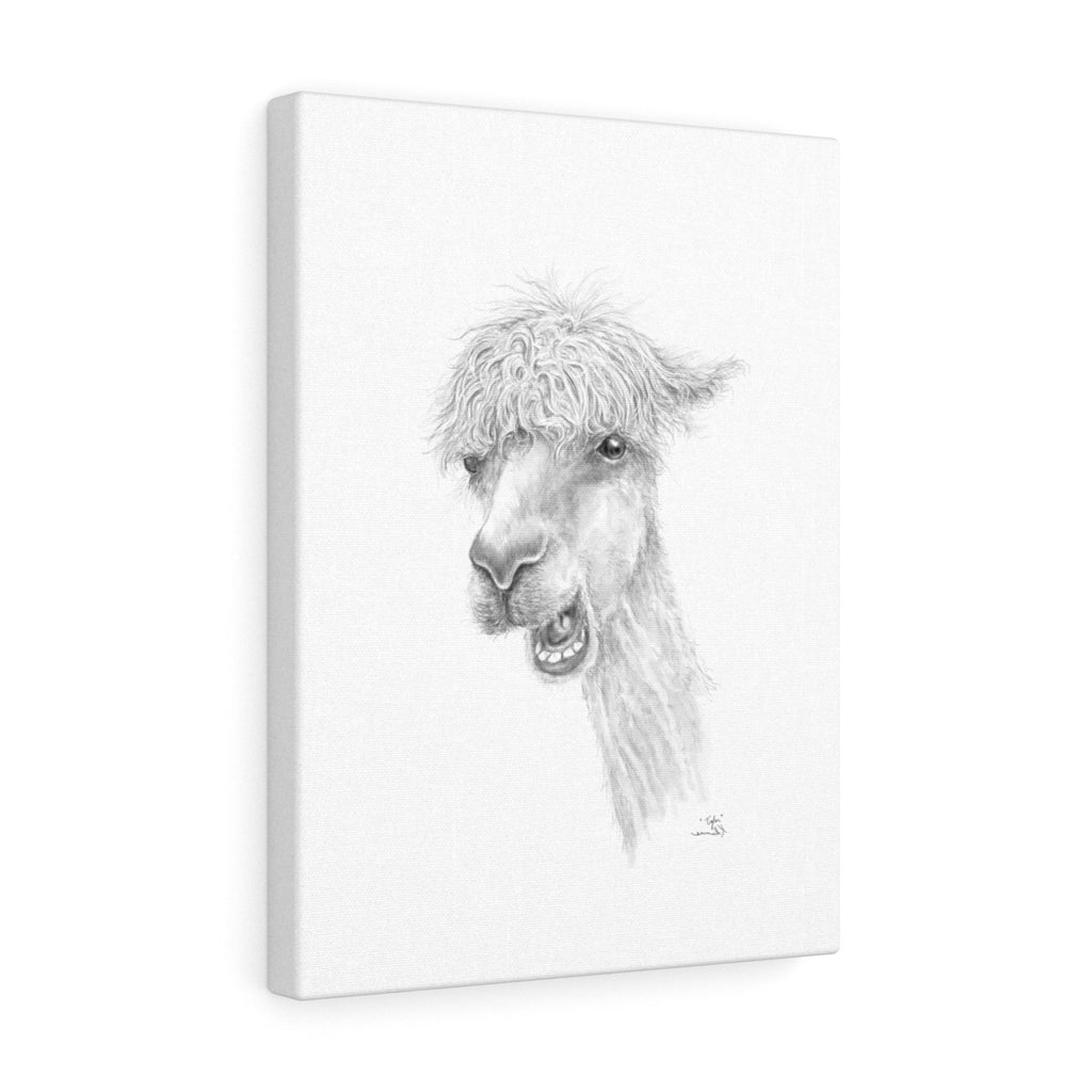 TYLER Llama - Art Canvas