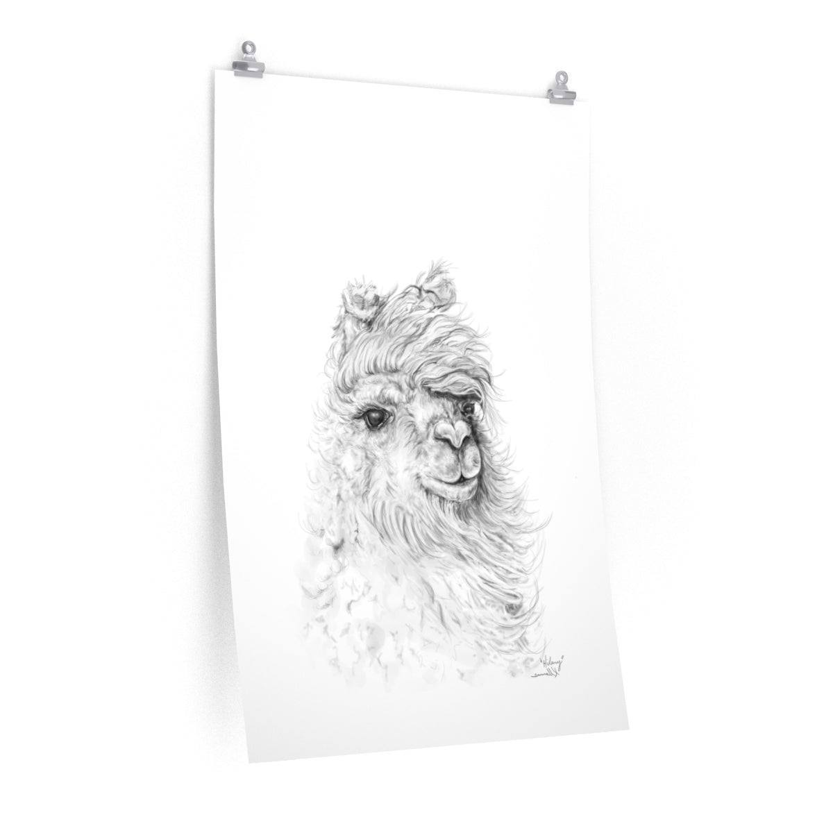 HILARY Llama- Art Paper Print