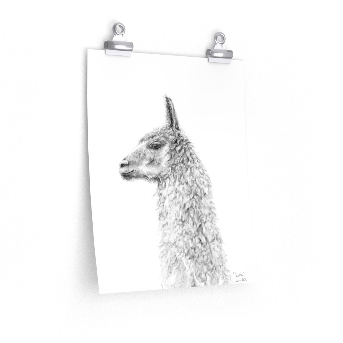 CASSIE Llama- Art Paper Print