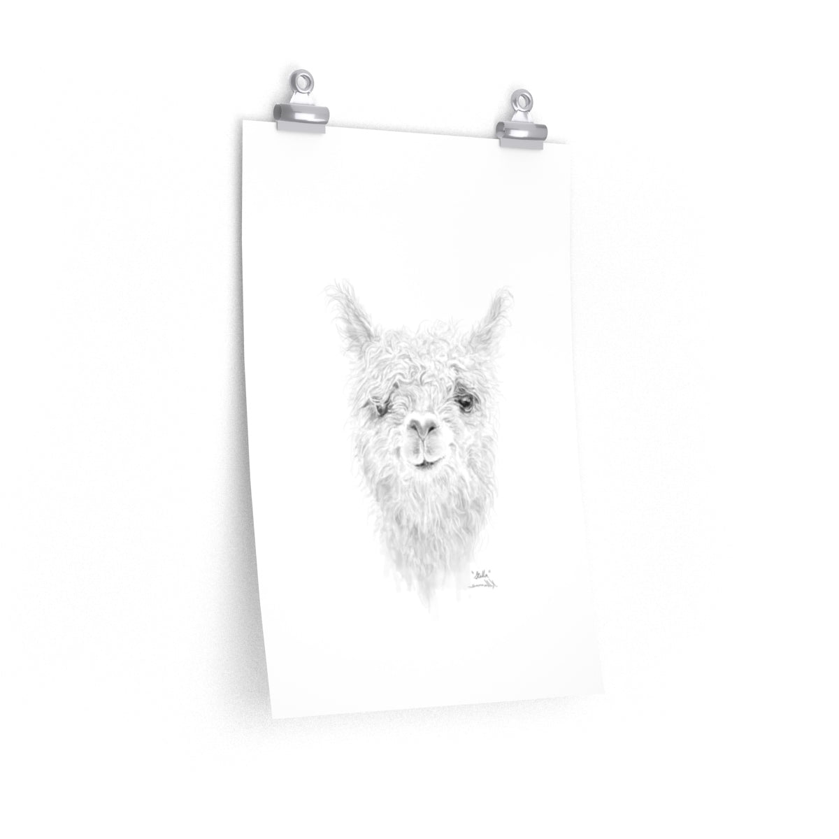 STELLA Llama- Art Paper Print