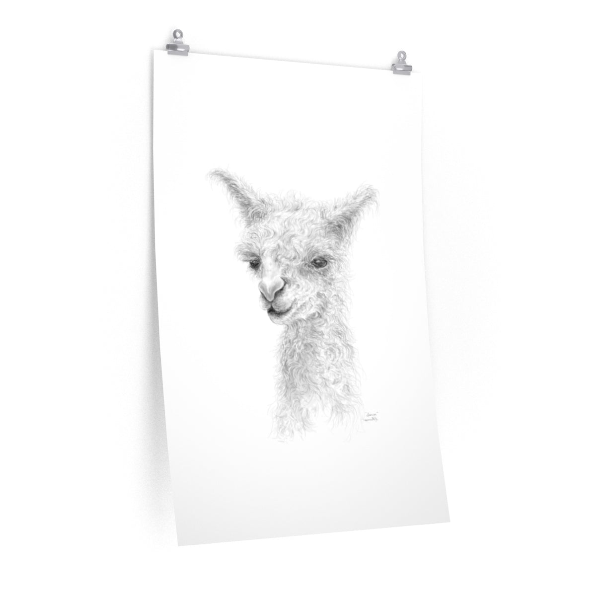 SIERRA Llama- Art Paper Print
