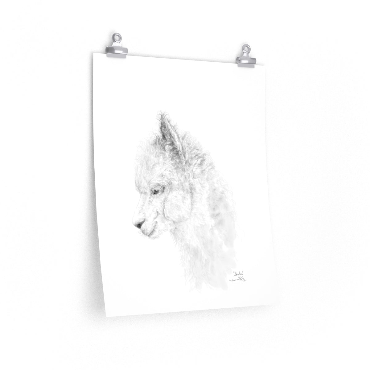 SASHA Llama- Art Paper Print