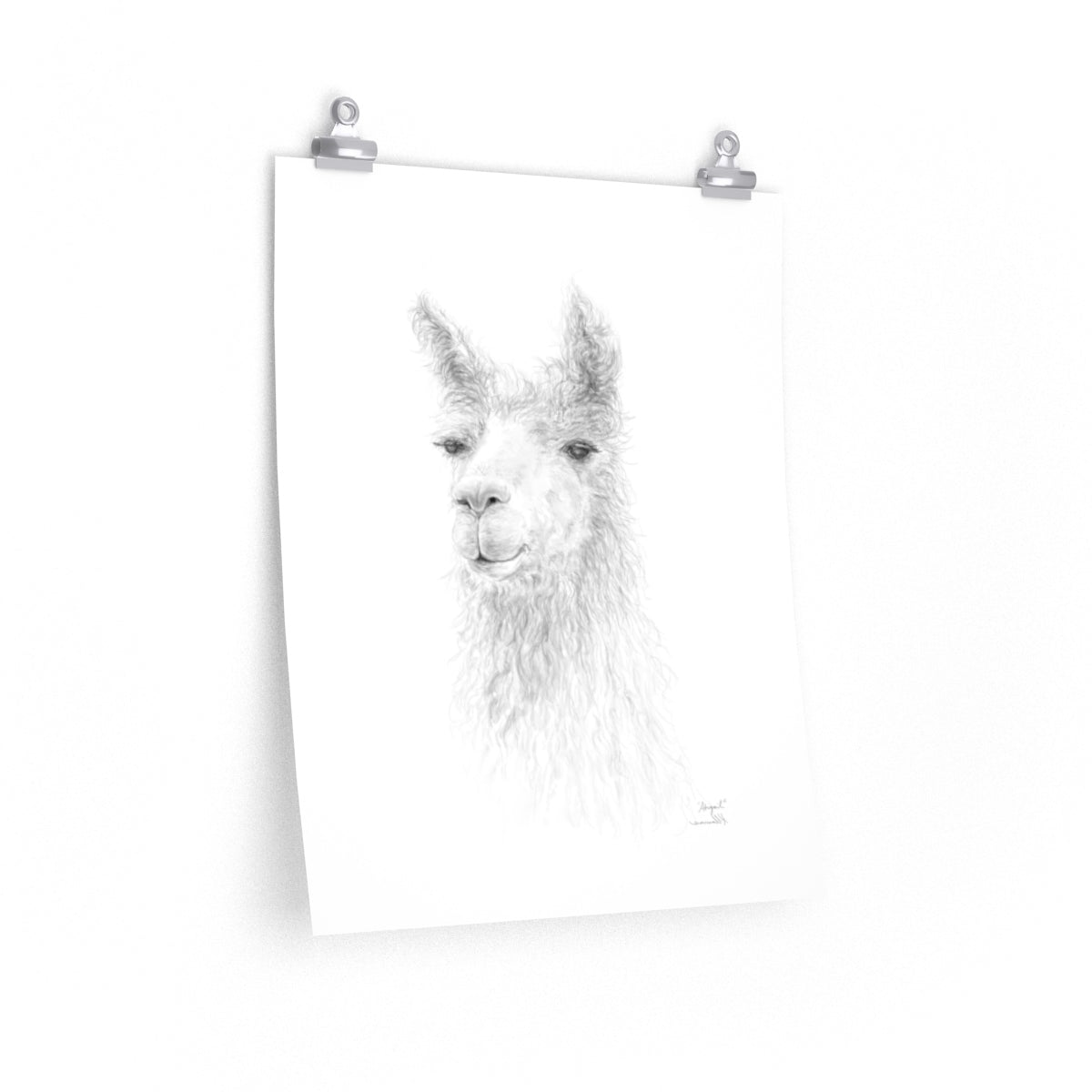 ABIGAIL Llama- Art Paper Print