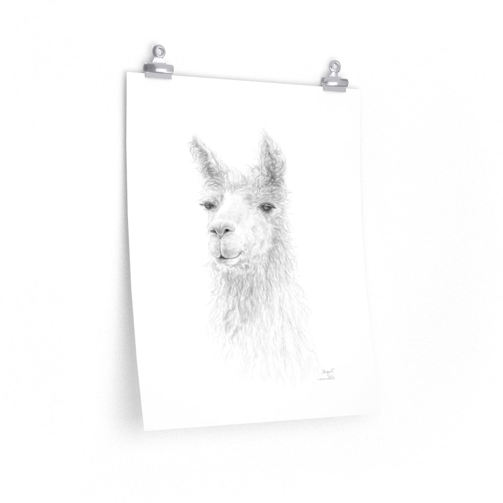ABIGAIL Llama- Art Paper Print