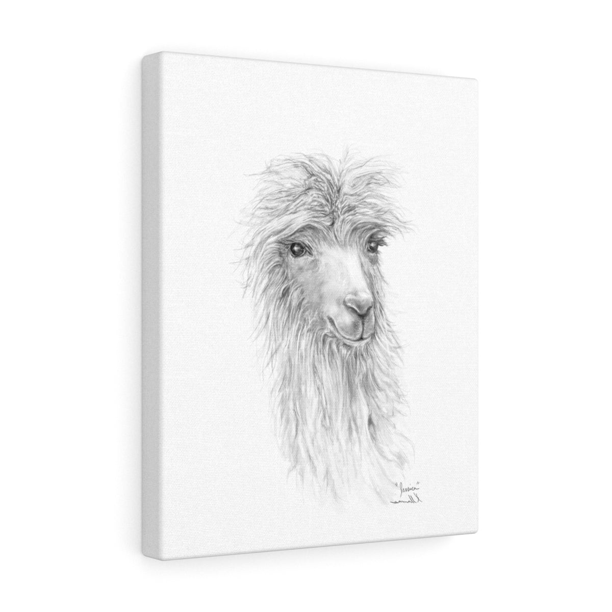 JESSICA Llama - Art Canvas