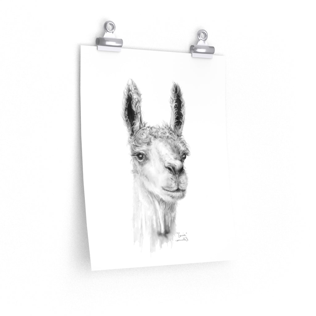 CARRIE Llama- Art Paper Print
