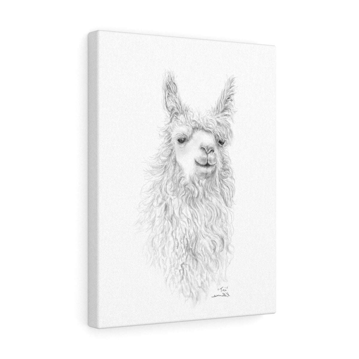 TORI Llama - Art Canvas