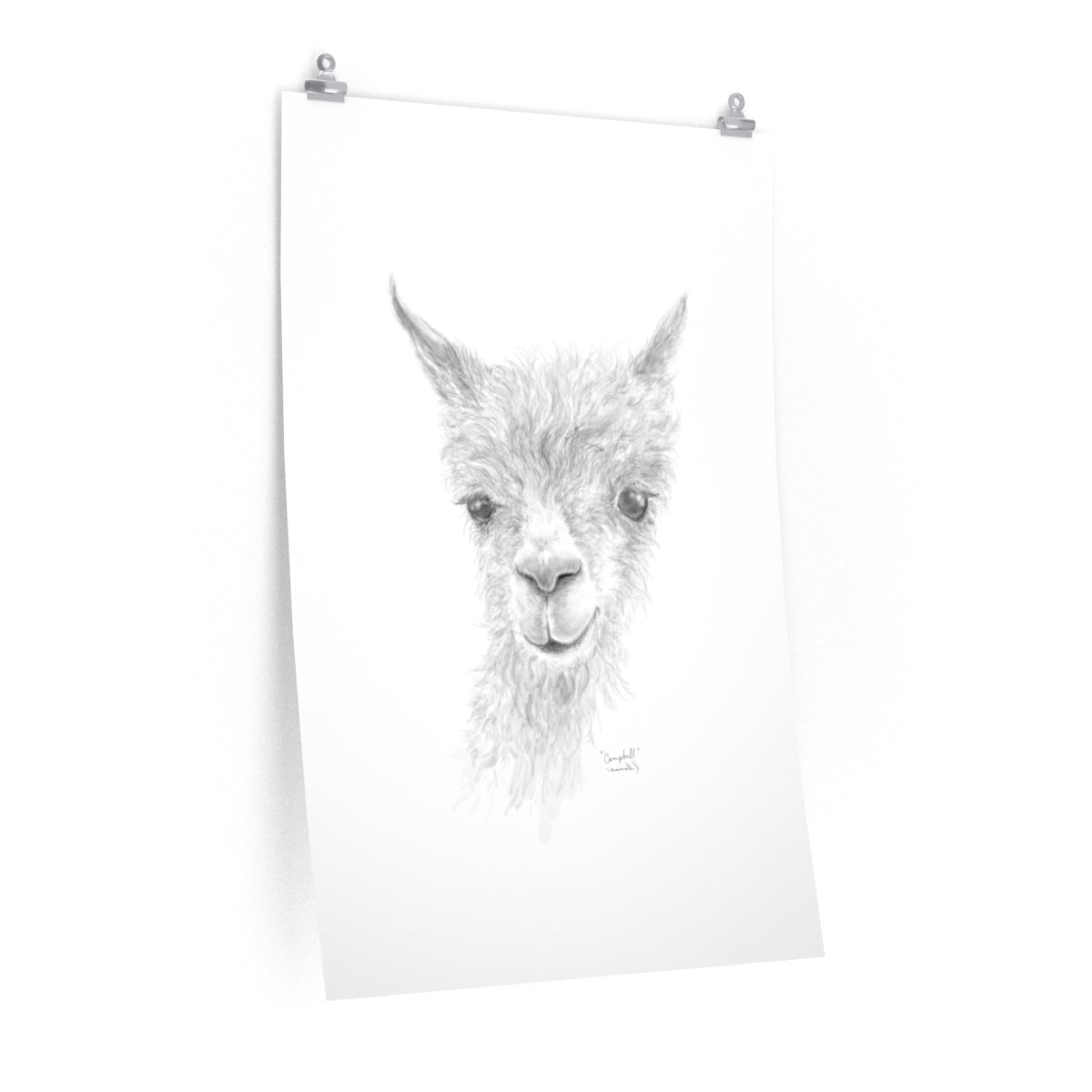 CAMPBELL Llama- Art Paper Print