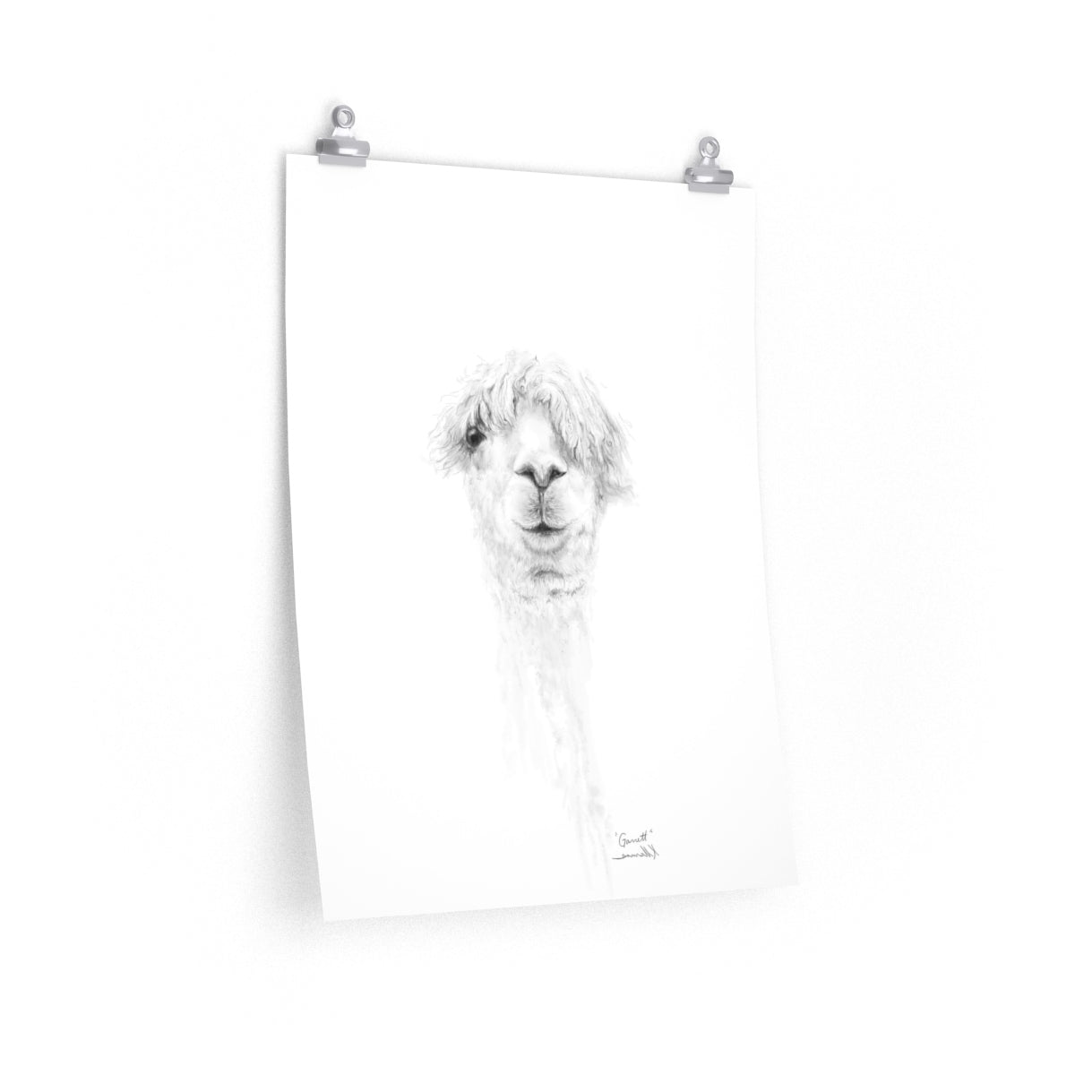 GARRETT Llama- Art Paper Print