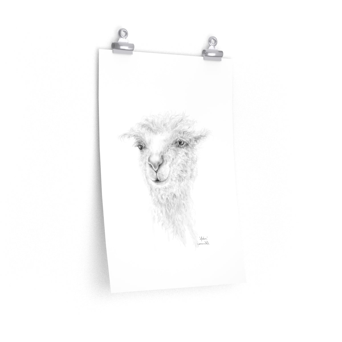 ASHER Llama- Art Paper Print