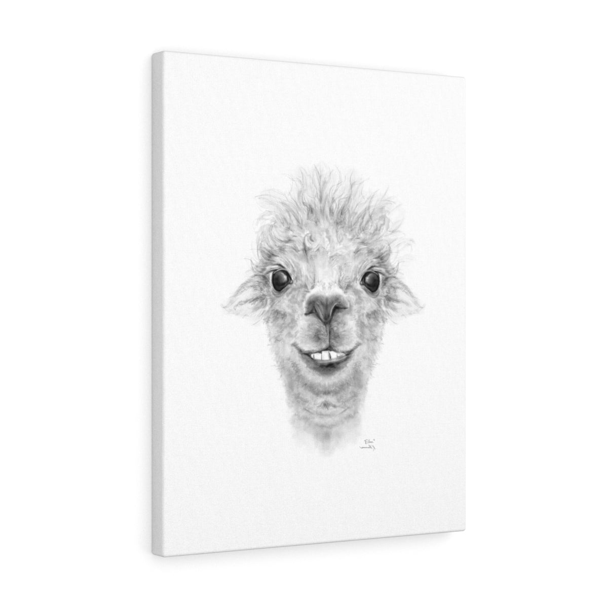 ELLEN Llama - Art Canvas