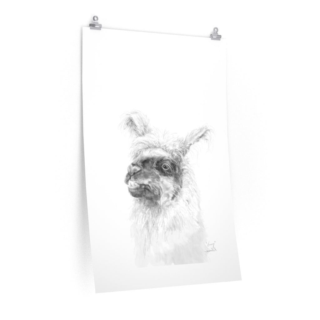 KERRY Llama- Art Paper Print