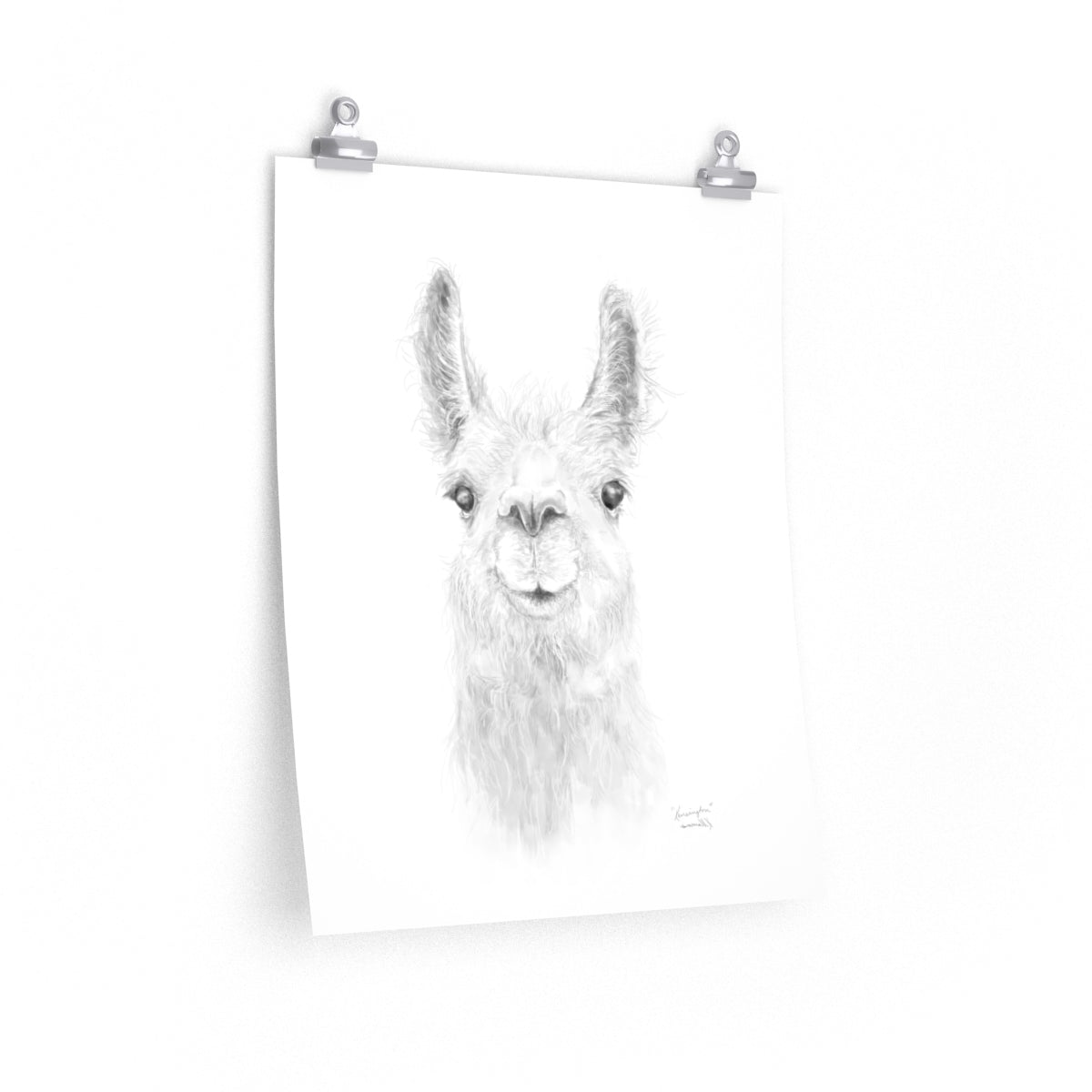 KENSINGTON Llama- Art Paper Print