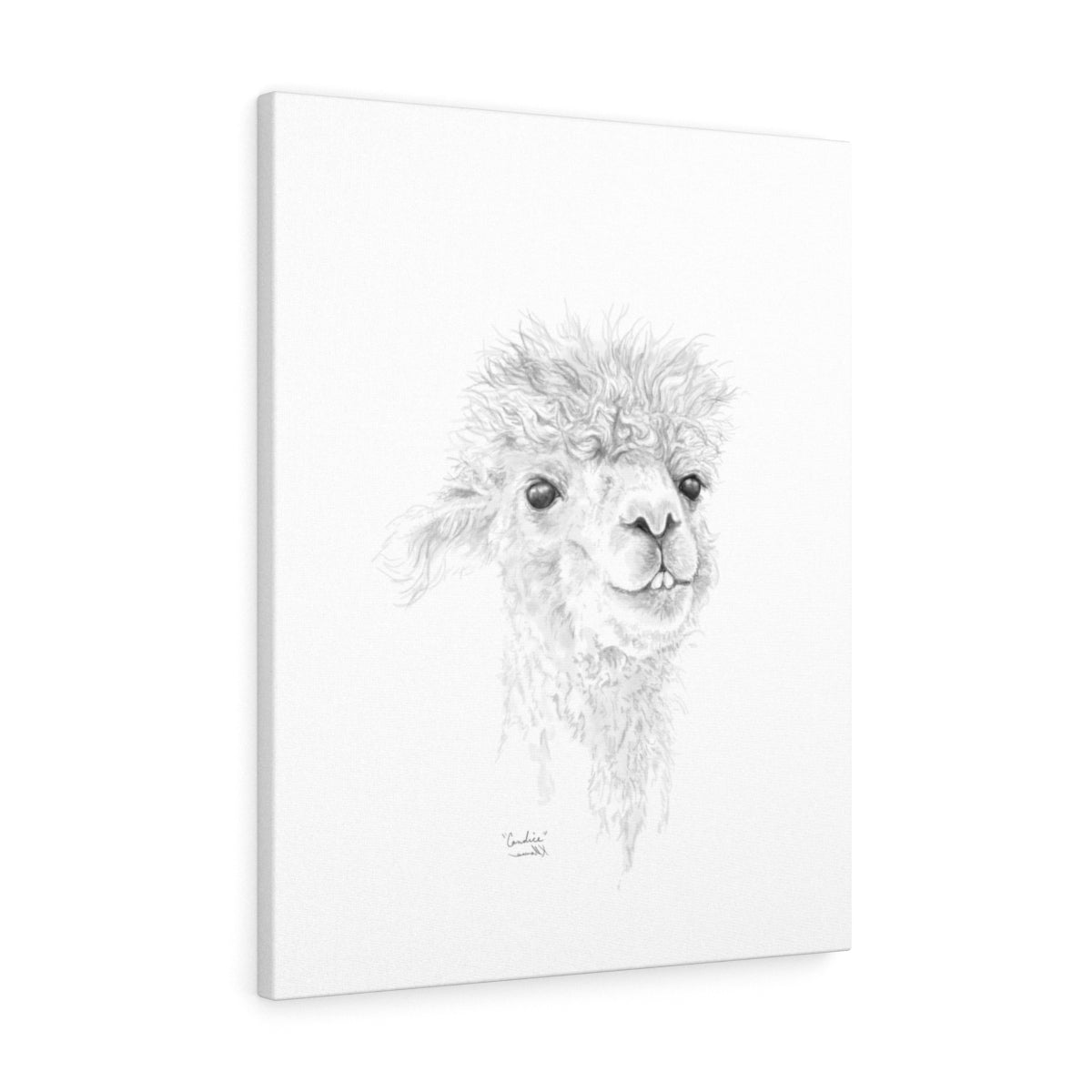 CANDICE Llama - Art Canvas