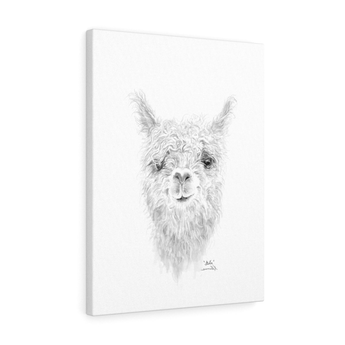 STELLA Llama - Art Canvas