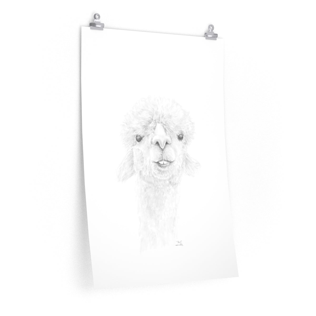 PEARL Llama- Art Paper Print