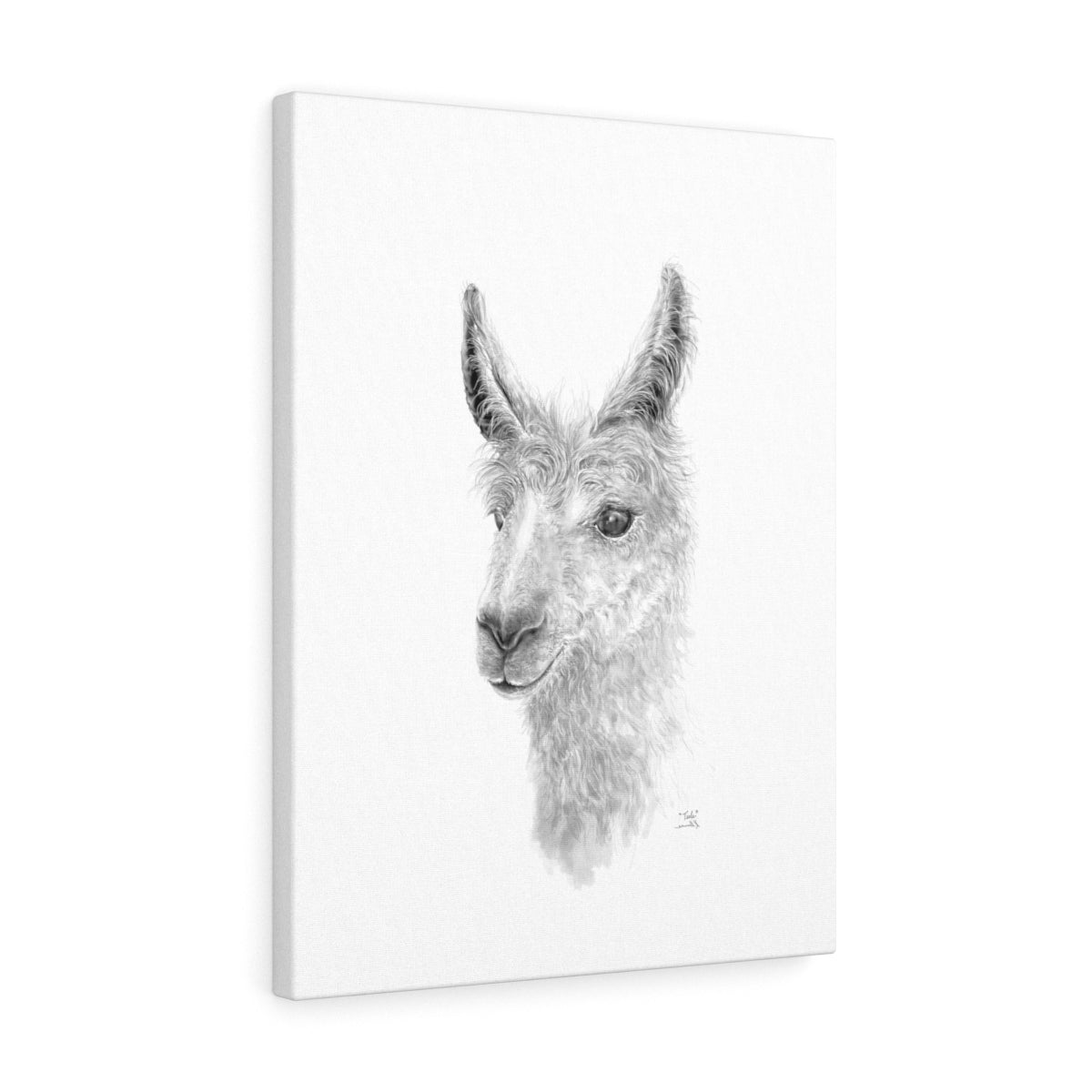 TEELE Llama - Art Canvas