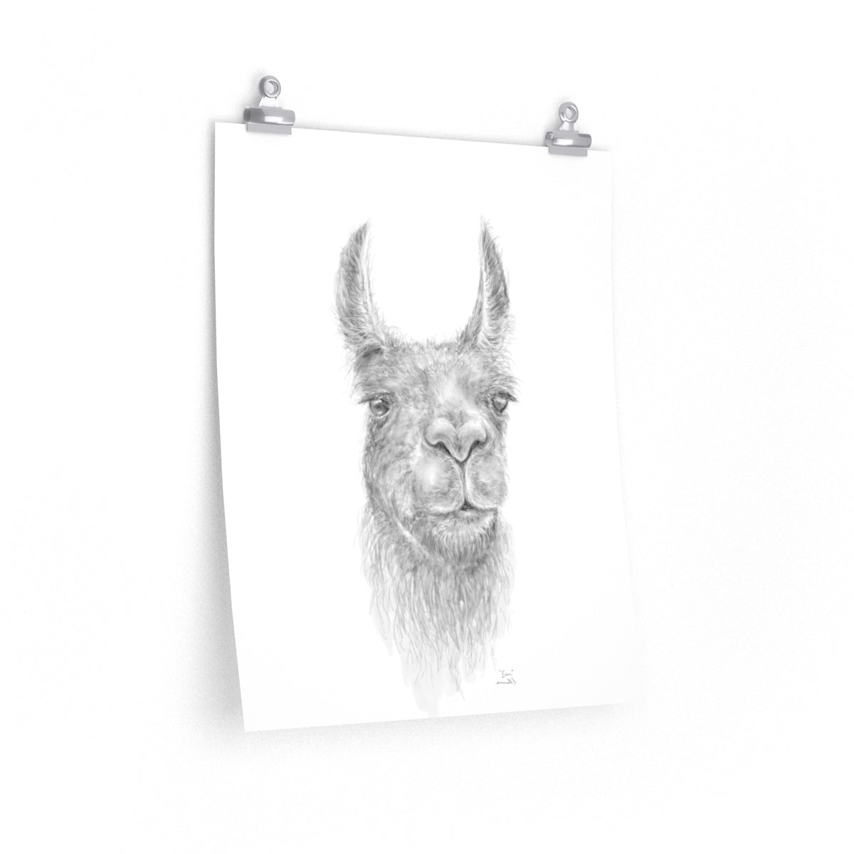EVAN Llama- Art Paper Print