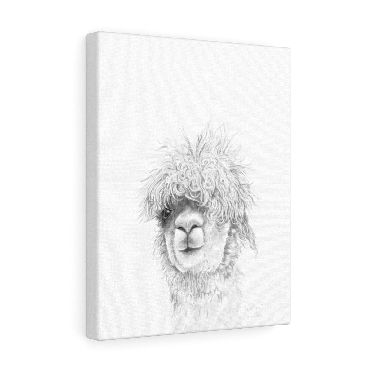 COLLEEN Llama - Art Canvas
