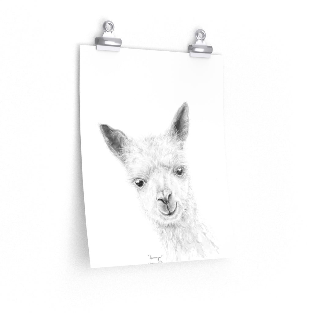 CAMRYN Llama- Art Paper Print