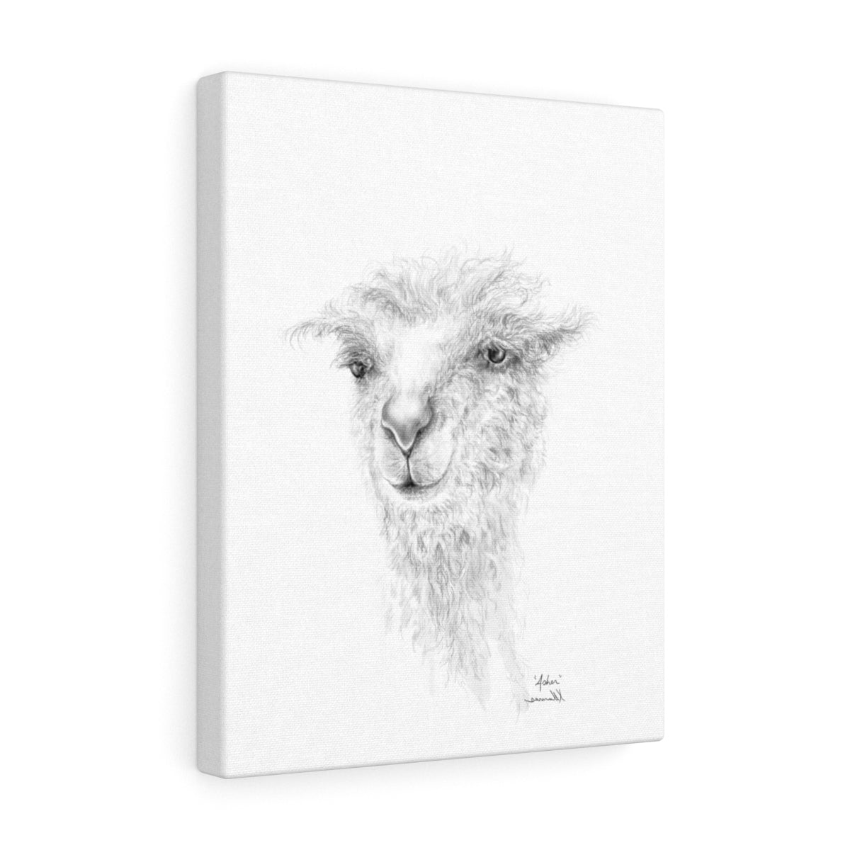 ASHER llama- Art Canvas