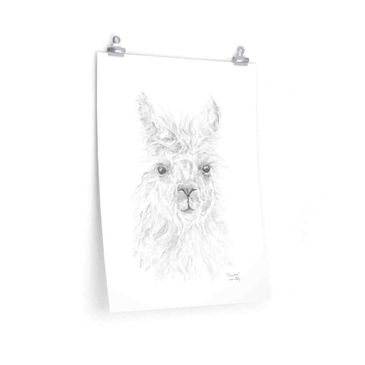 FRANKIE Llama- Art Paper Print
