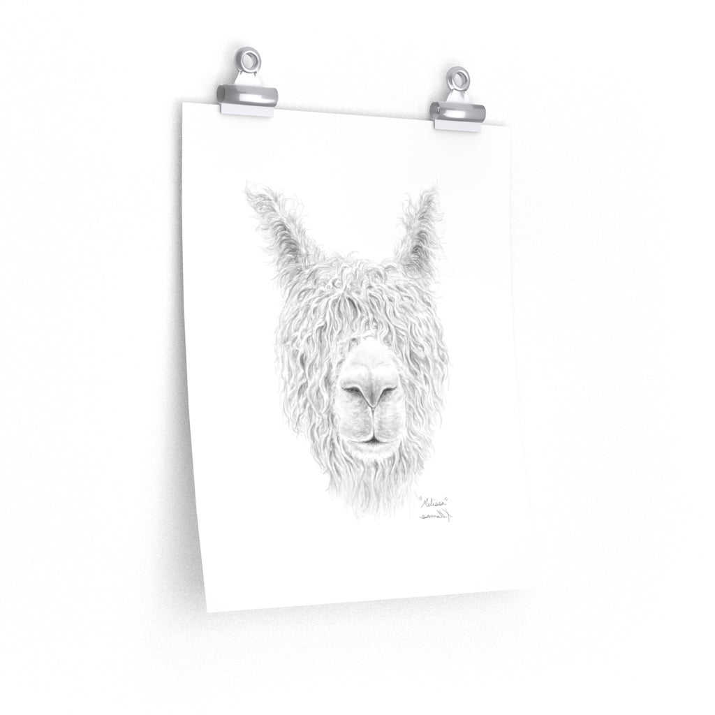 MELISSA Llama- Art Paper Print