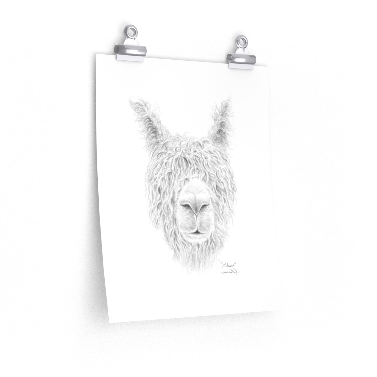 MELISSA Llama- Art Paper Print