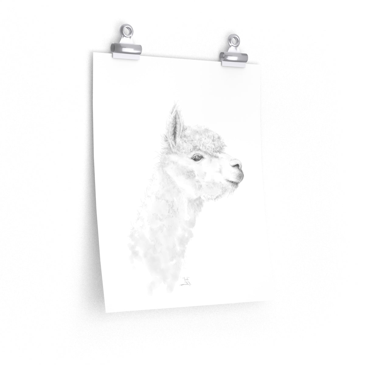 JOSH Llama- Art Paper Print