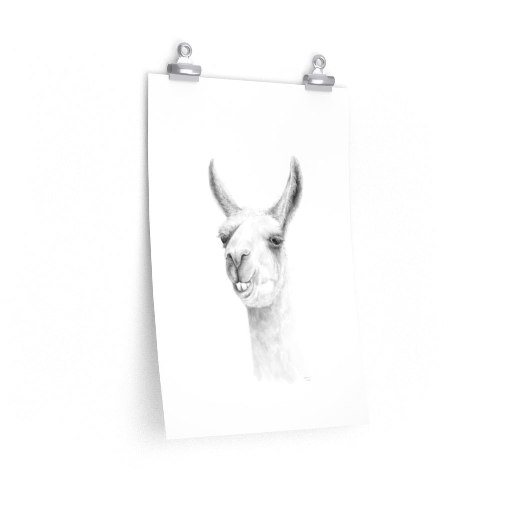 MAGDALENA Llama- Art Paper Print