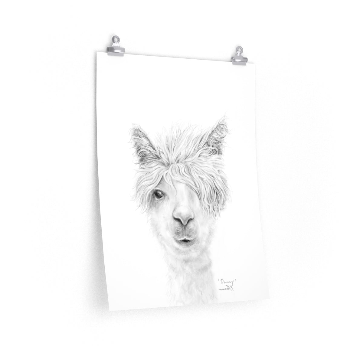 DANNY Llama- Art Paper Print