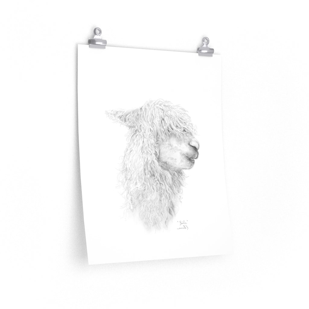 BAILIE Llama- Art Paper Print