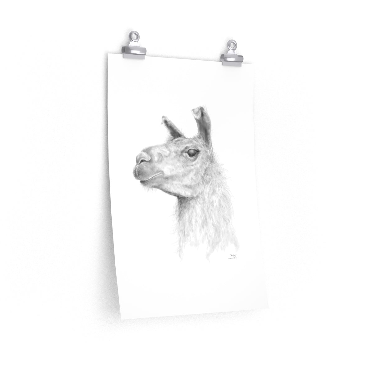 ANDREA Llama- Art Paper Print