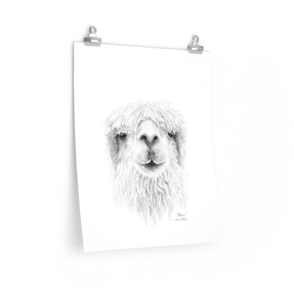 BLAIN Llama- Art Paper Print