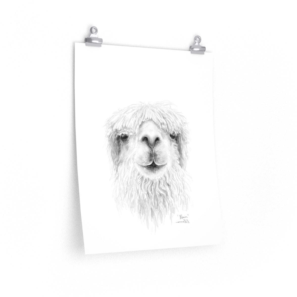 BLAIN Llama- Art Paper Print