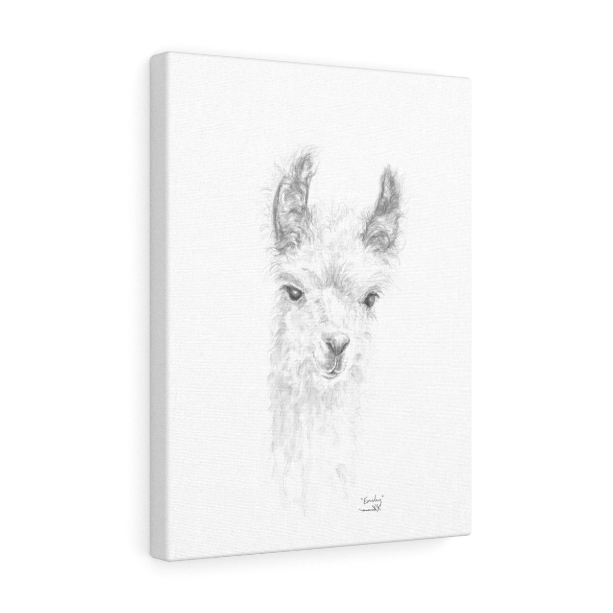 EMSLEY Llama - Art Canvas