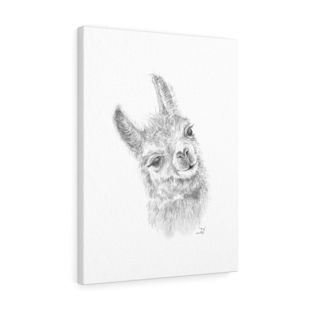 Posey Llama - Art Canvas