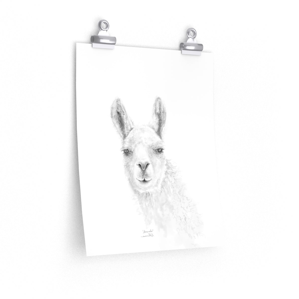 AMANDA Llama- Art Paper Print