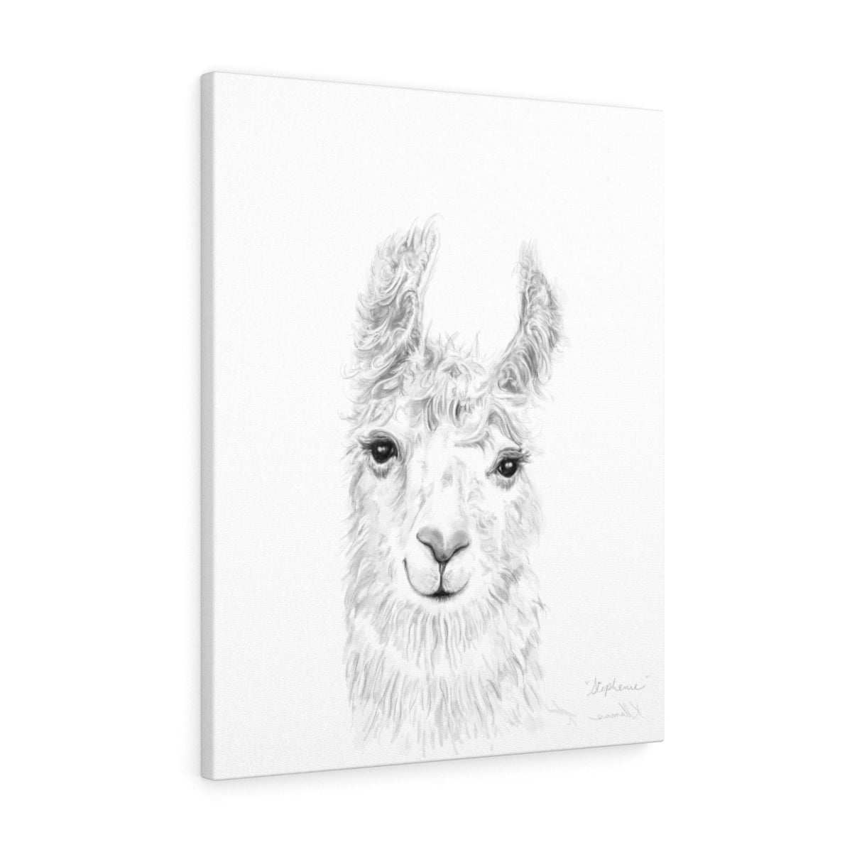 STEPHANIE Llama - Art Canvas