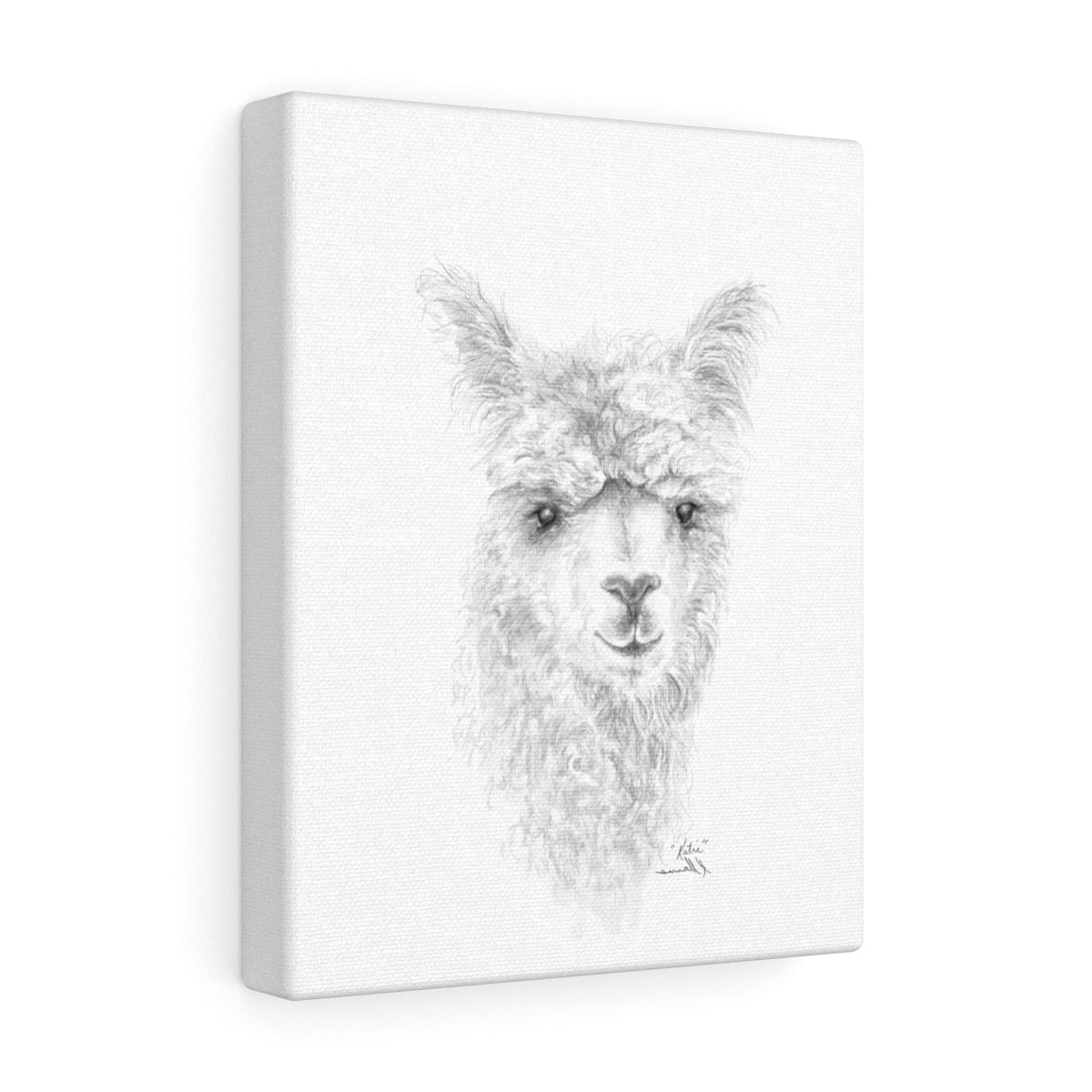 KATIE Llama - Art Canvas
