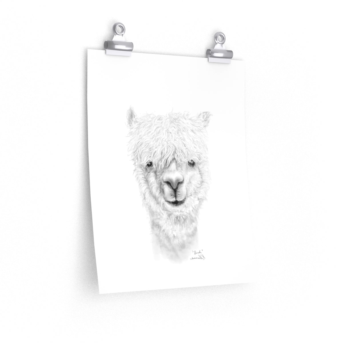 RANDI Llama- Art Paper Print