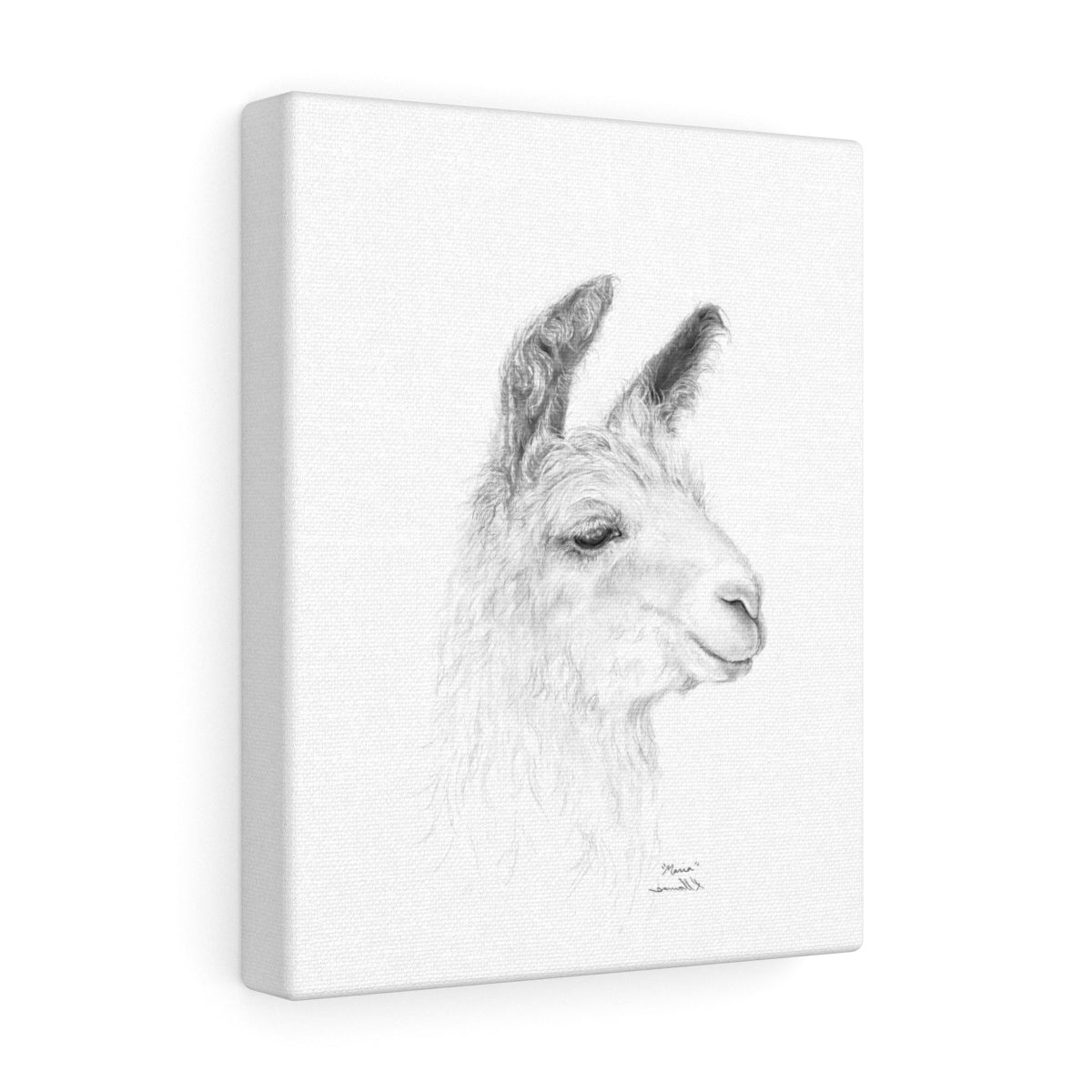 MARIA Llama - Art Canvas