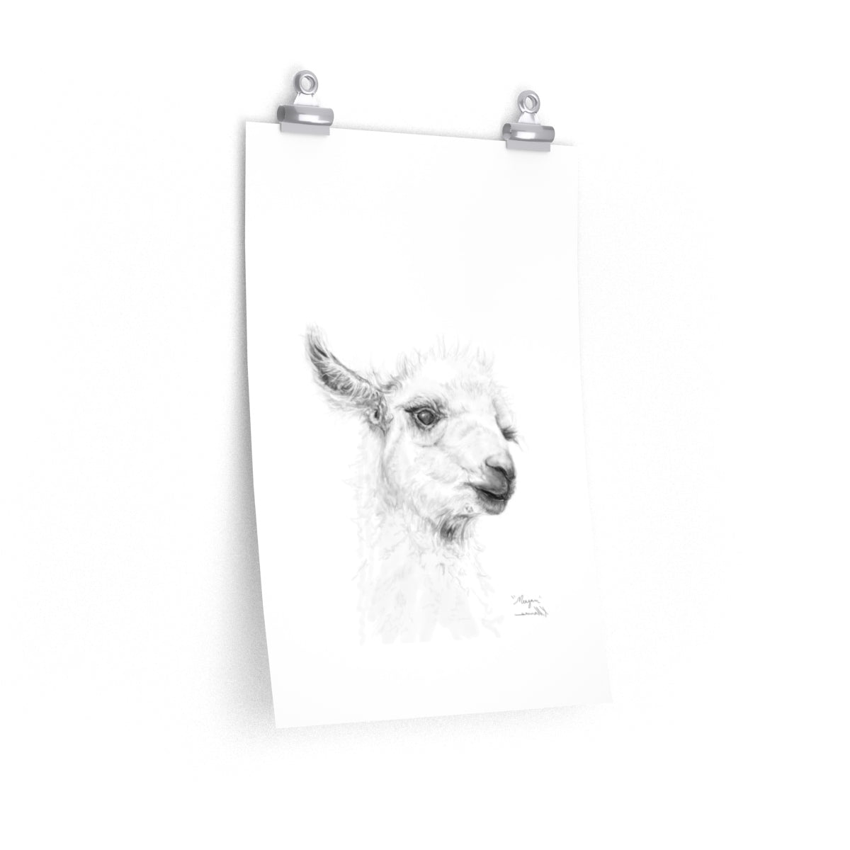 MEAGAN Llama- Art Paper Print