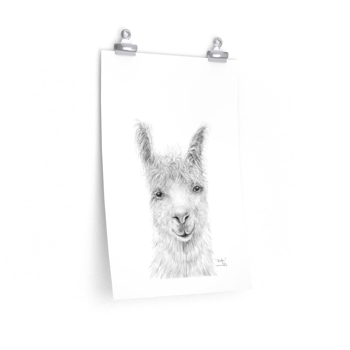 BRIDGER Llama- Art Paper Print