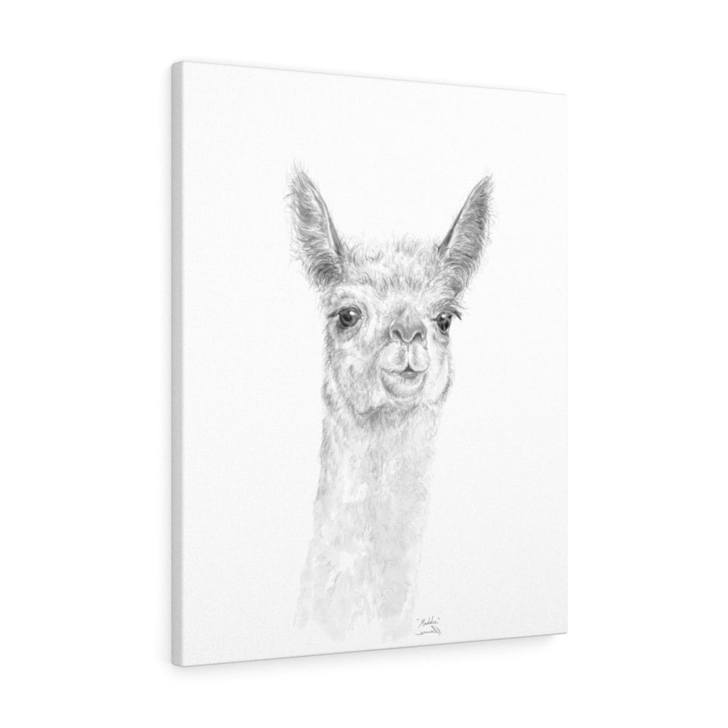 MADDIE Llama - Art Canvas